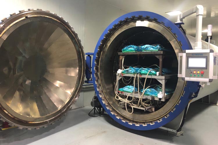 Autoclave and compression molding